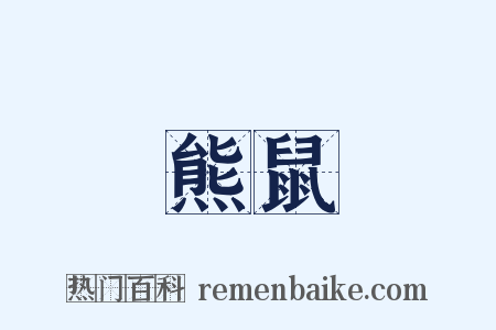 熊鼠是什么意思的图片